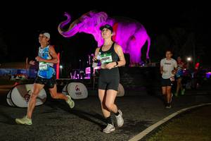 BIB: 
                            <button type="button" onclick="openModal(26534717)" class="btn btn-primary btn-sm float-right btn-popup" data-toggle="modal" data-target=".modal-high-quality">
                        <i class="fas fa-shopping-cart"></i> Add to Cart
                    </button>
                                            <button type="button" onclick="isThisMe(26534717, true)" class="btn btn-success btn-sm float-right btn-popup btn-isme hidden" data-toggle="tooltip" data-placement="bottom" title="นี่คือรูปของคุณใช่ไหม คลิกที่นี่เพื่อเอาเข้าอัลบั้ม">
                        <i class="fas fa-plus"></i> Add to album
                    </button>
                    <button type="button" onclick="isThisMe(26534717, false)" class="btn btn-warning btn-sm float-right btn-popup btn-isnotme hidden">
                        <i class="fas fa-ban"></i> Remove from album
                    </button>